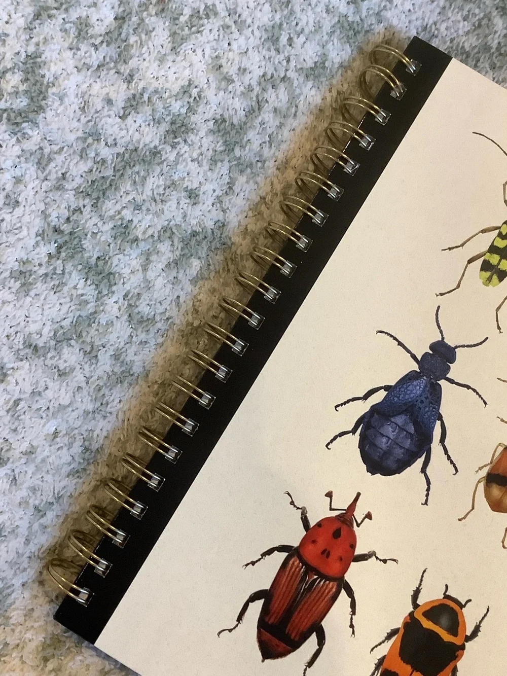 James Burke Collection Colorful Bugs Five Subject Notebook NWT 9.25x11” 120 page